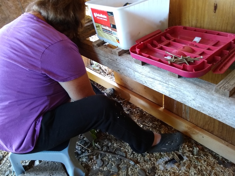 Lois is installing a 2x4 for the bottom of the new chick corral.