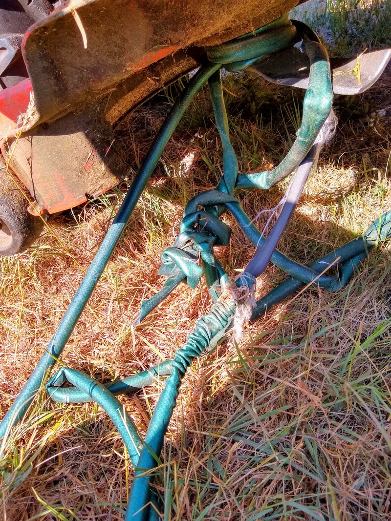 Mower meets hose. Hose loses. Mower has to take a time-out.