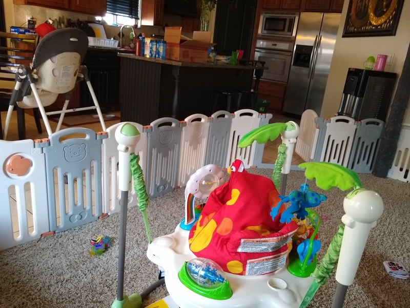 Ben changed the play yard. It gives Sum Sum more room to wander but still be restricted to the living room.