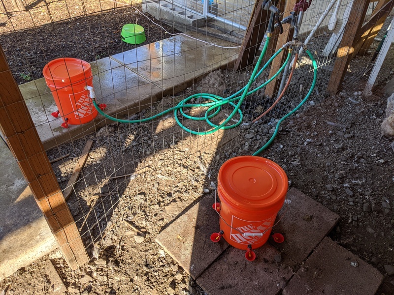 New chicken watering contraption.
