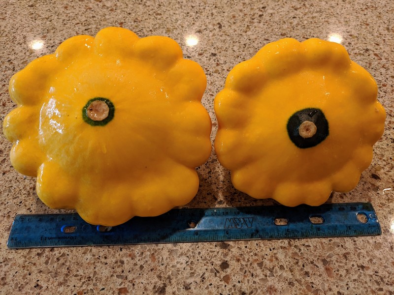 Patty pan squash that lois came home to.
