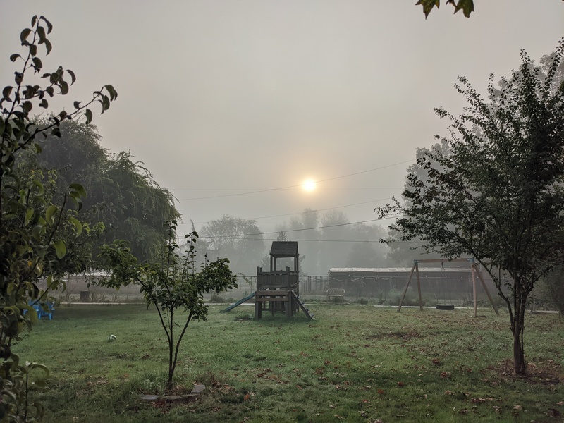 Foggy sunrise over Rosewold picnic area play structure and tire swing.