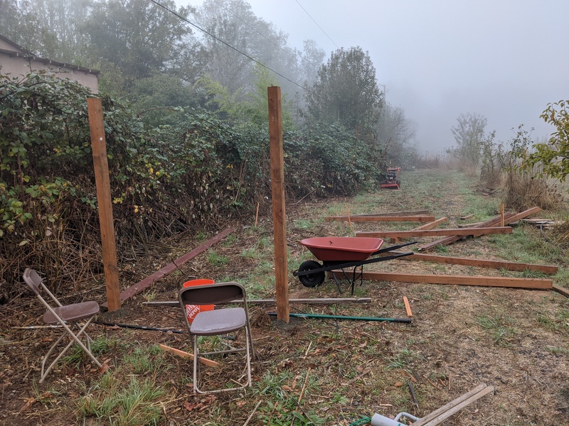 The first posts for the new Chickery.