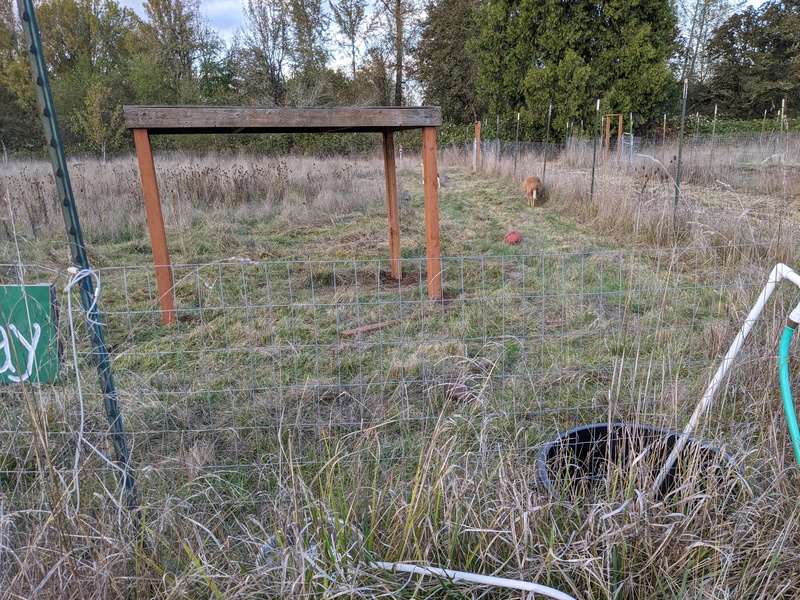 Sheep shelter in the middle pasture. Legs are sunk 8 inches into the ground.