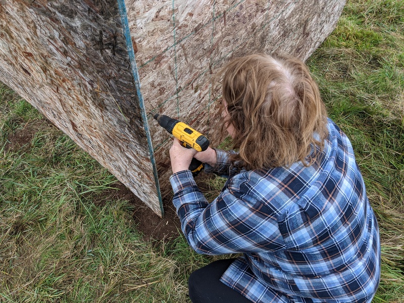 Lois drilling and screwing panels onto the sheep shelter.