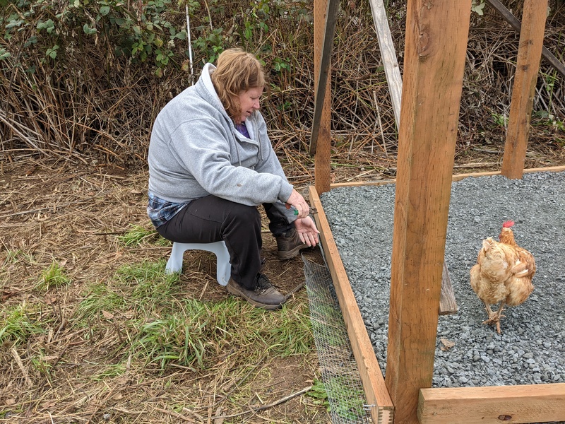 Lois is measuring and trimming the bottom mesh.