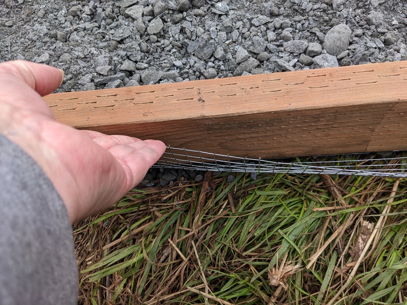 Making sure the mesh is below the top of the 2x4.