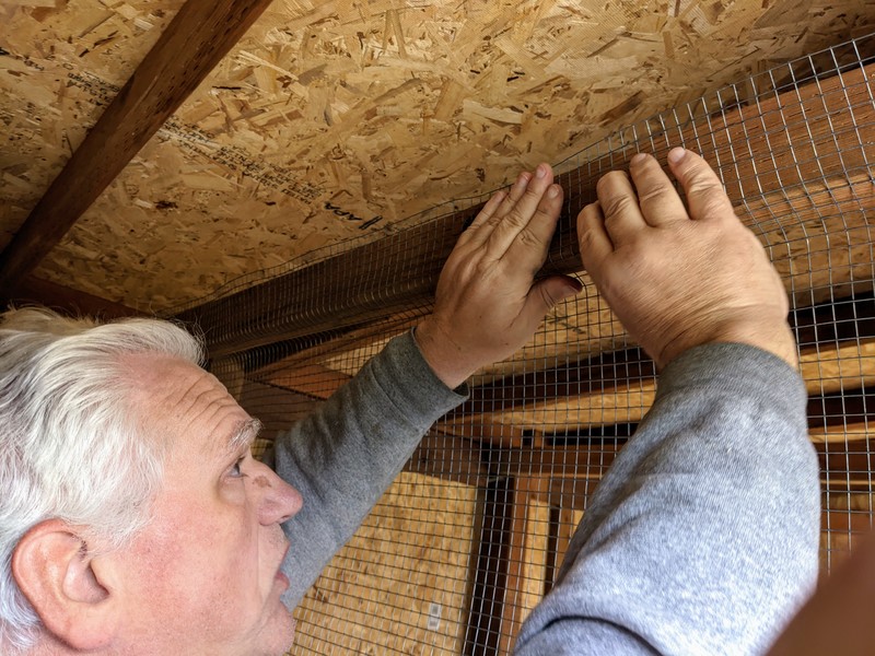 Don uses his bare hands to bend the fence mesh to conform to the 2x4.