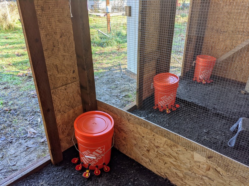 The empty water buckets are waiting in the Chickery.