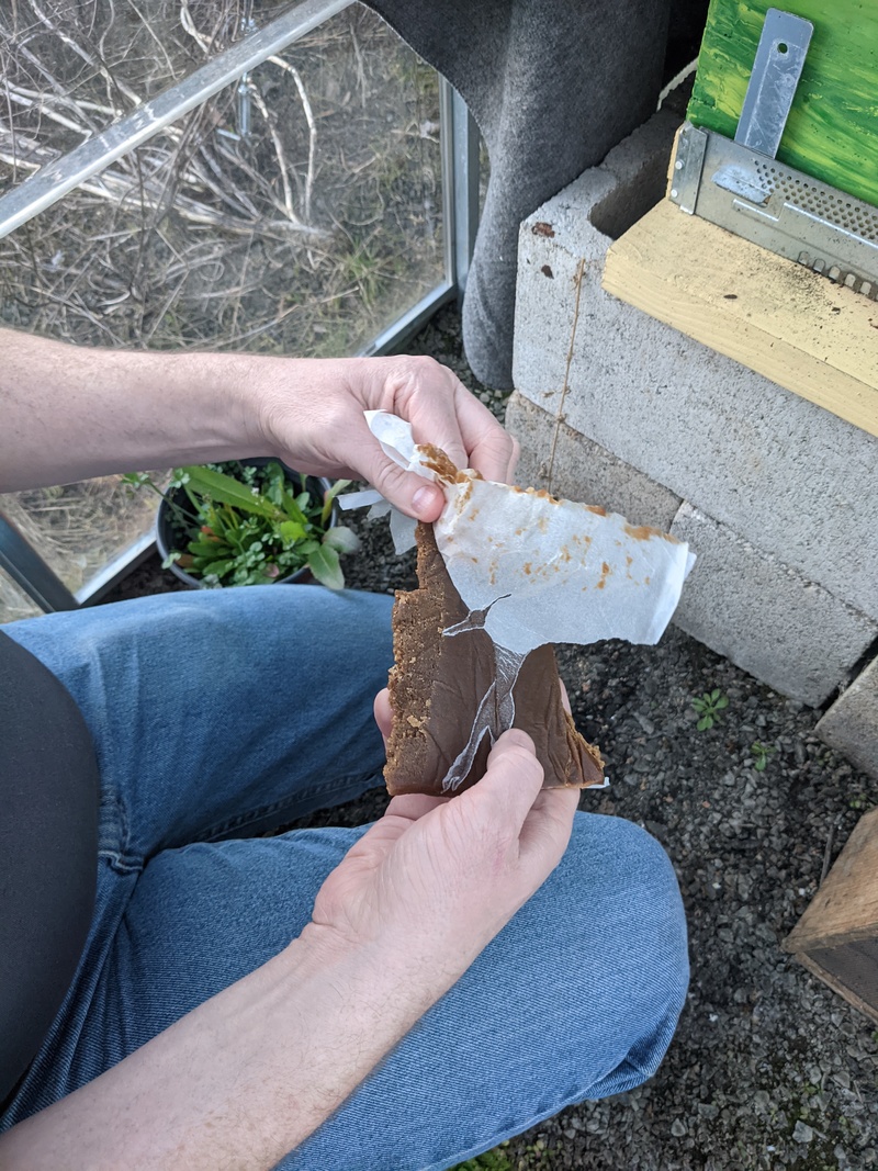 Joseph putting bee pollen in the hive.