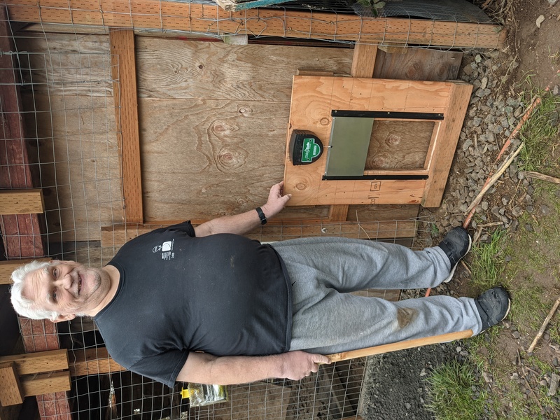 Don installed an automatic chicken door. We haven't cut the home out yet because the pullets are still trying to adjust to the dungeon.