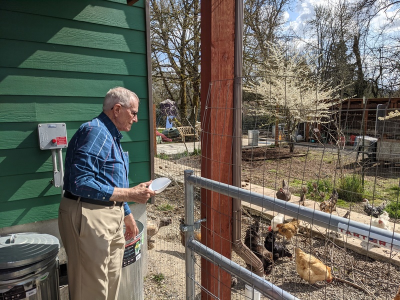 Uncle Lyn Kimball feeding our chickens.