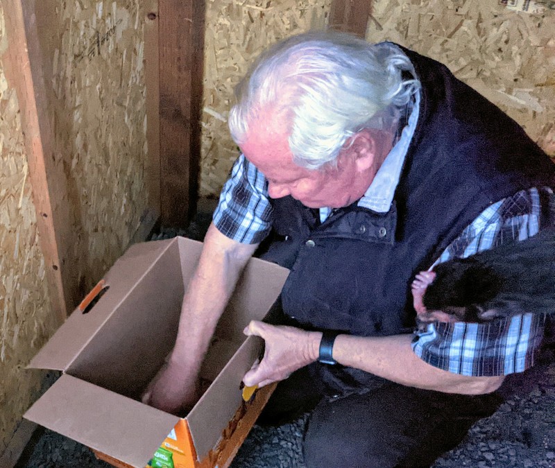 Dennis carefully set there eggs down in a pile.
