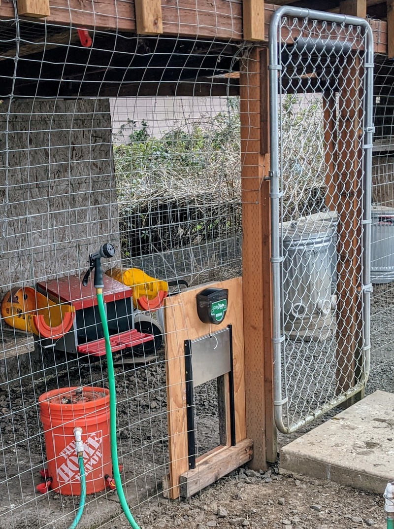 Dennis and Don installed the second door. The chickens are using it just fine, probably because it is so close to the door they used before.