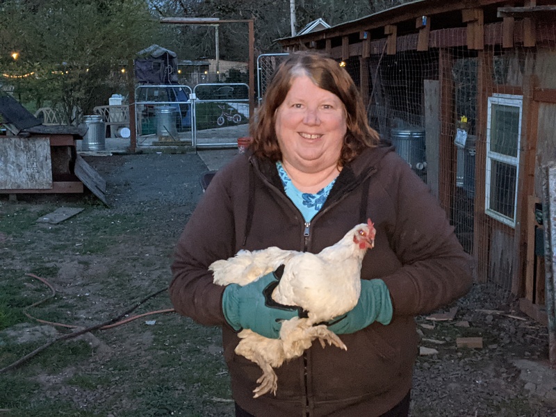 Lois taking broody Chiffon to the Chickery.