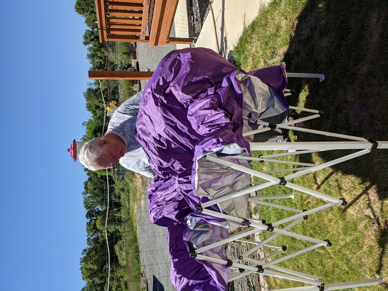 Memorial Day Picnic Prep: Don sets up Canopy.
