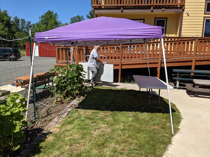 Memorial Day Picnic Prep: Canopy and Tables.