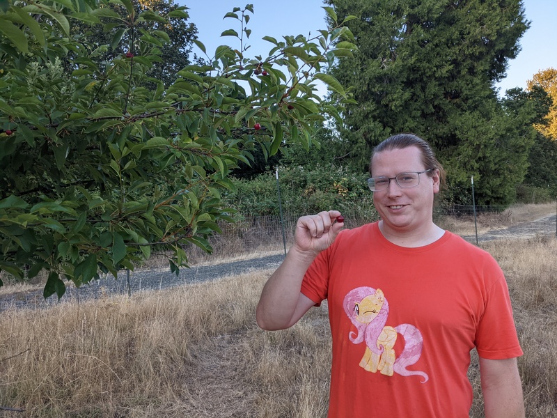 Ben found a few cherries that were left.