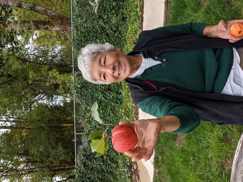 Ysabel came and picked fruit at Rosewold. She is holding a Gala Apple.