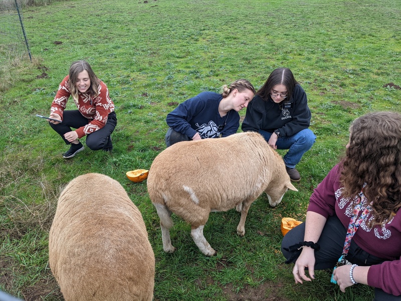 Sister Earl, Sister Hill, Sister Dawson, and Sister Spotten.