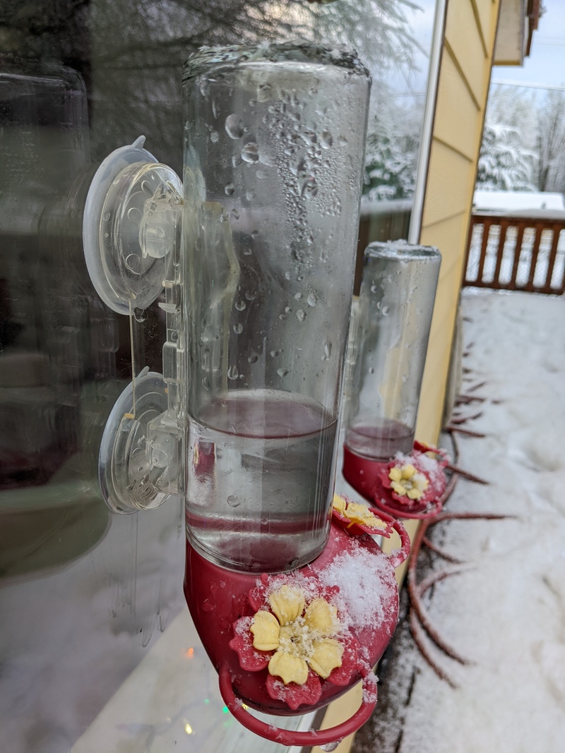 Snow Day: Hummingbird Feeder with only a little ice.