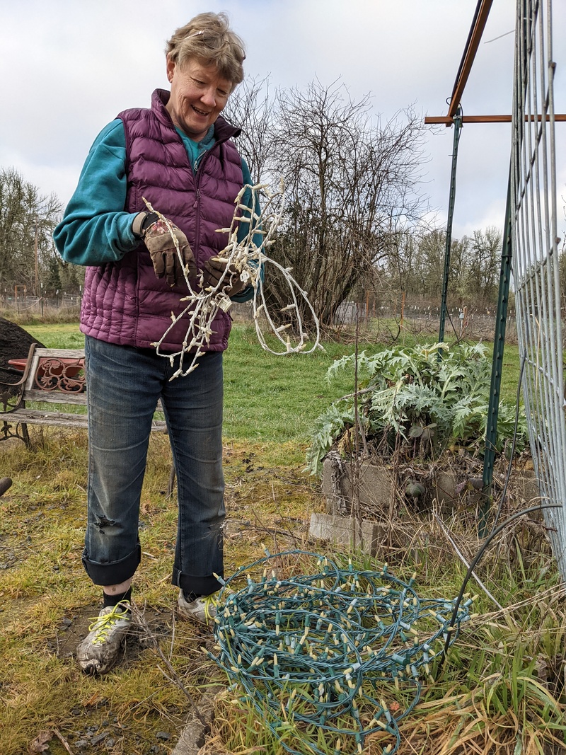 Laura takes down the old lights; most of them were not working anymore.