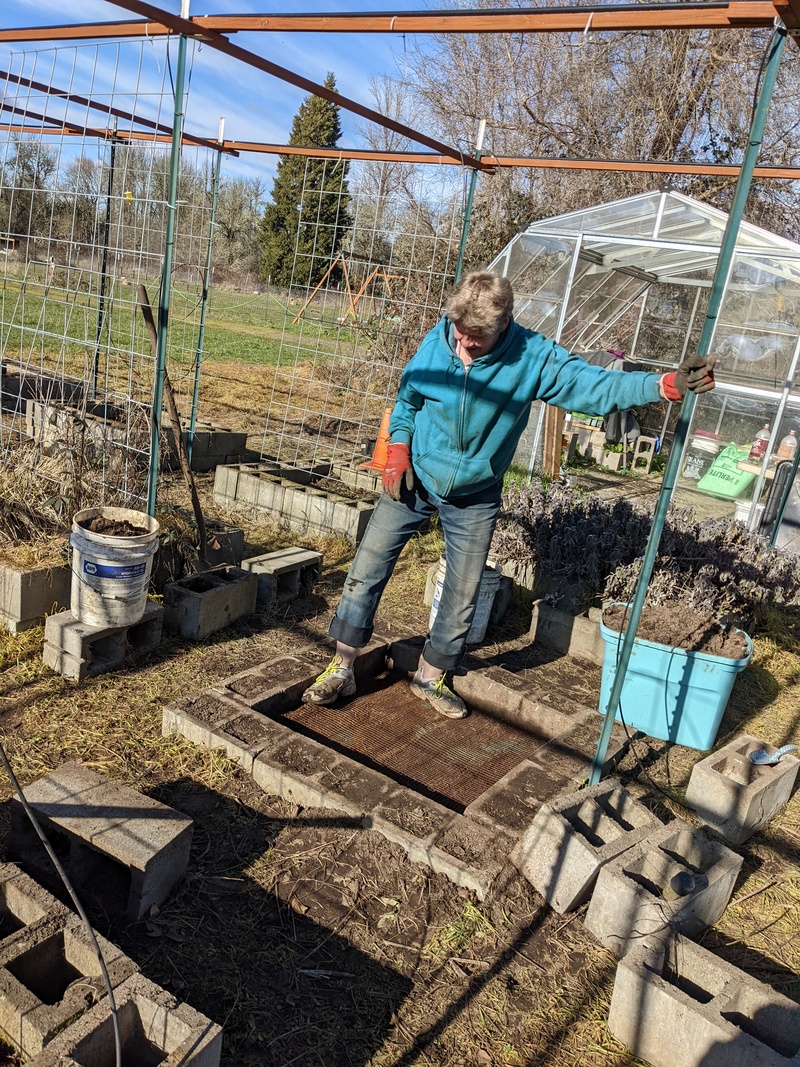 Laura stomping the wire mesh down.