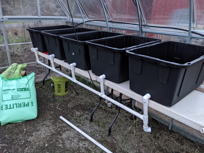 Joseph has four buckets set up for hydroponics.