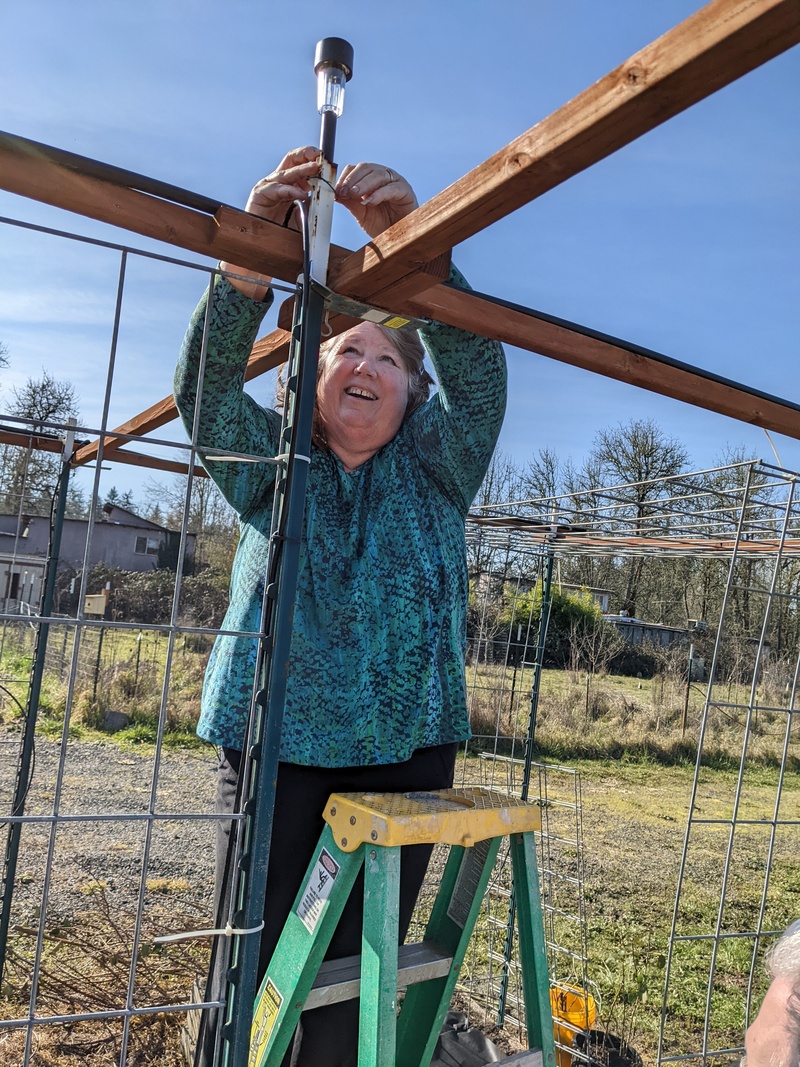 Lois putting up a light stick.