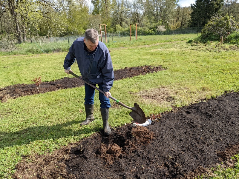 Joseph digging in the new Rose Garden