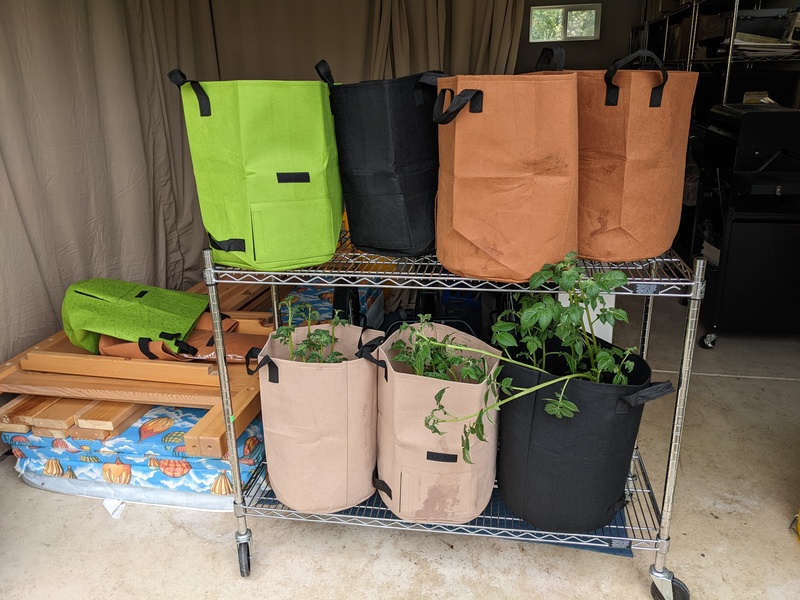 Lois moved all the potato bags to the garage. The most developed black bag was very difficult. She didn't want to add any dirt or water until they were down. 😁