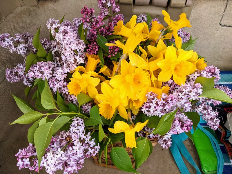 I gathered a bouquet for people to take at church to celebrate May Day. .