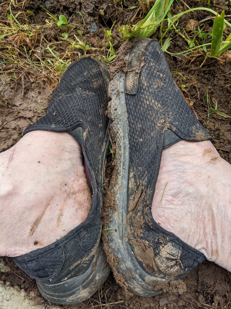 My shoes area little muddy and they got even worse.
