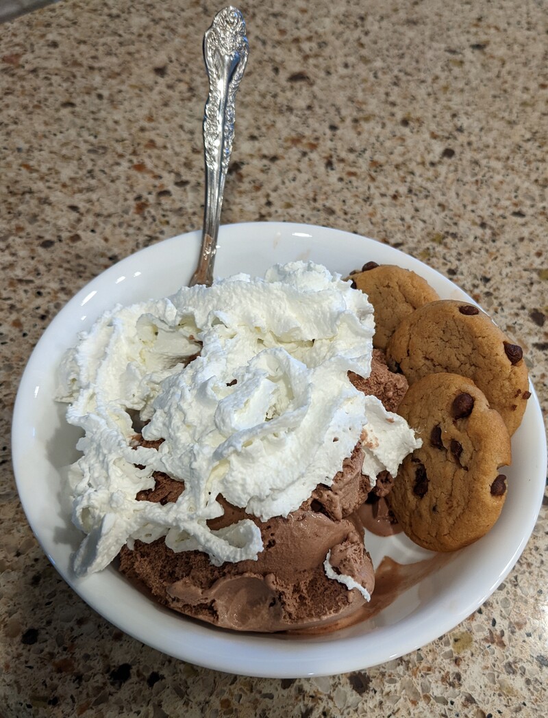 Alex is having a bowl of ice cream.