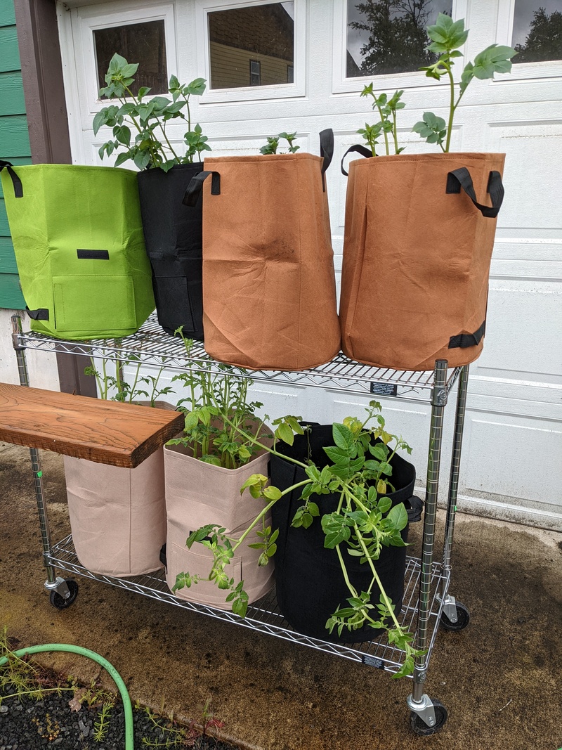 Potato bags came out of the garage.