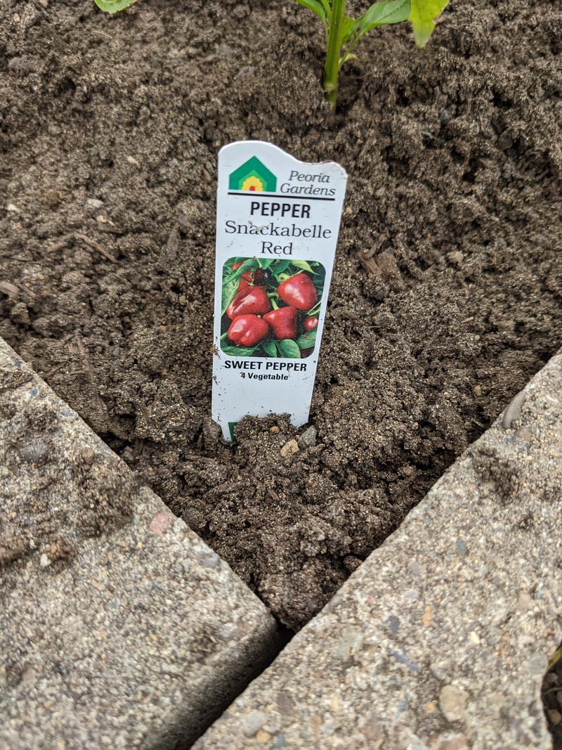 Pepper Snackabelle Red