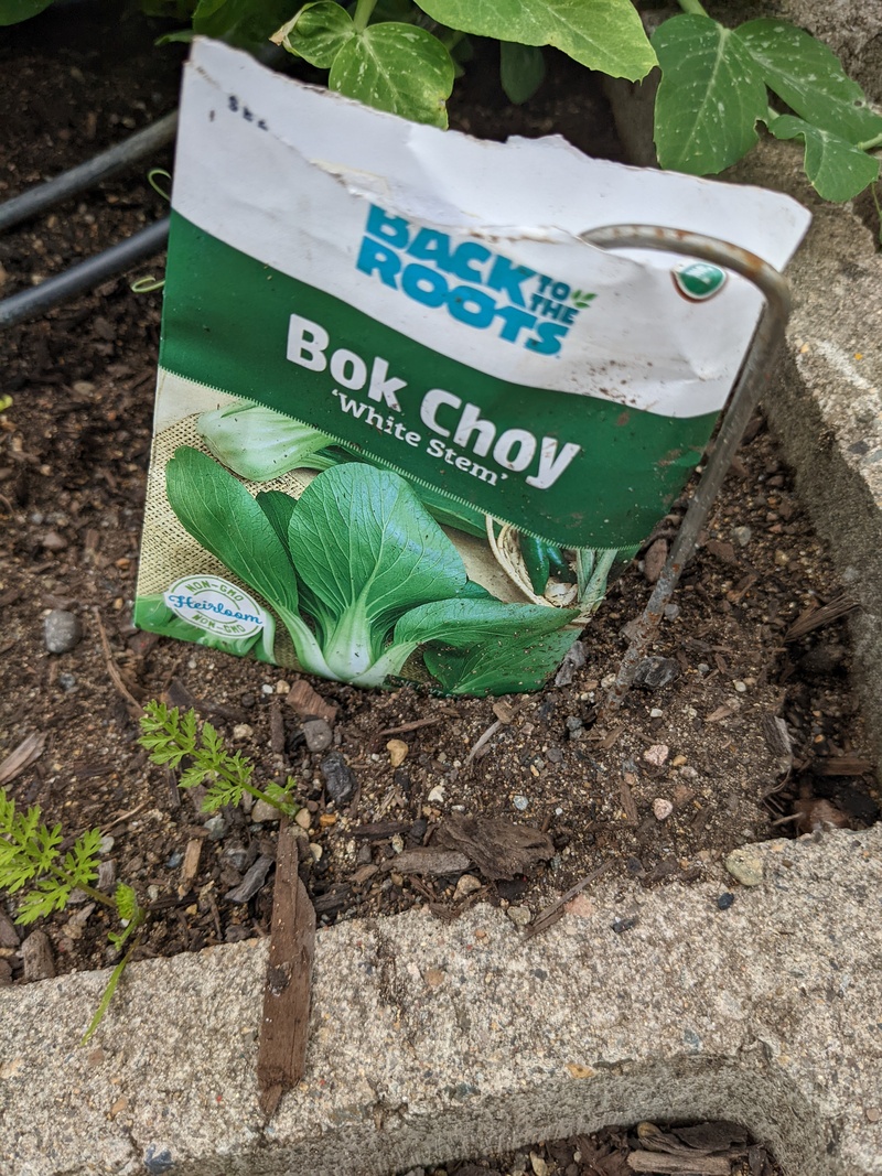 Bok Choy White Stem