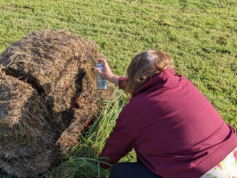 Don and Lois got the straw bales up on top of each other again. Then Lois spray painted new targets.