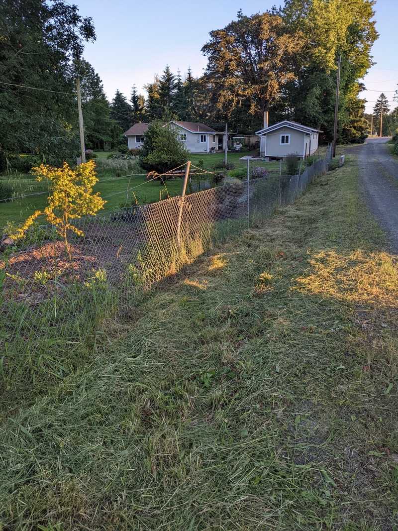 Neighbor weedeated the edge. One side or the other is getting better and better.