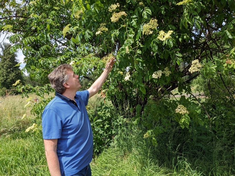 Joseph is looking at the new fruit.