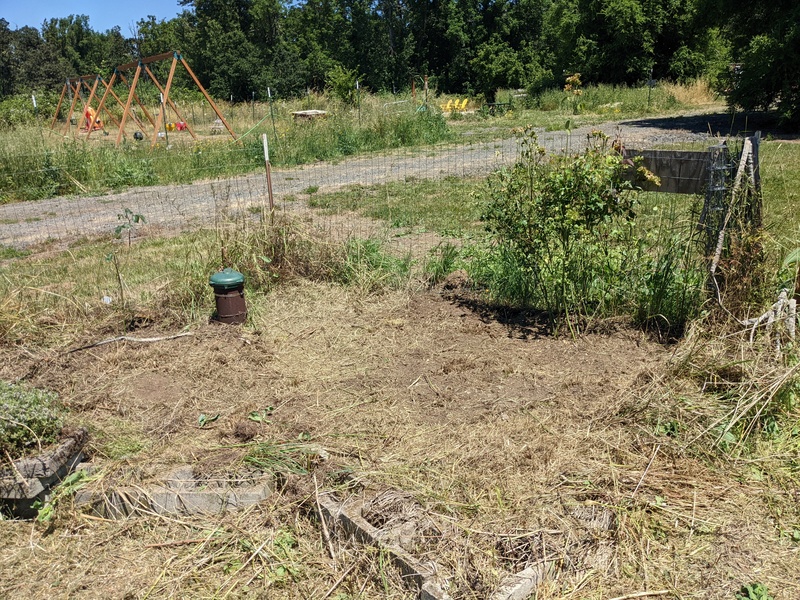 Joseph's weeding in the bee garden.