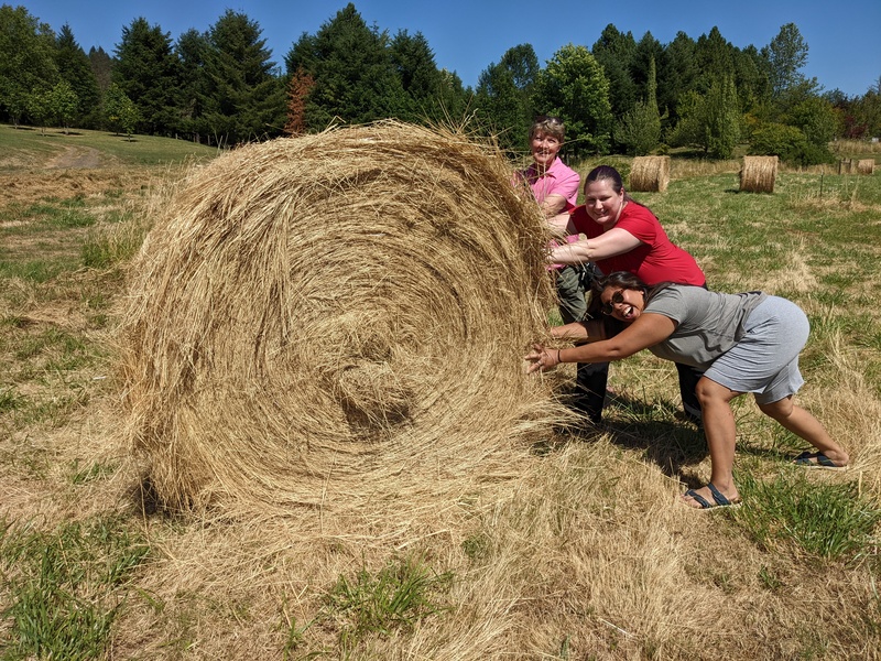 Pretending to roll the hay baked at Fort Umquah.