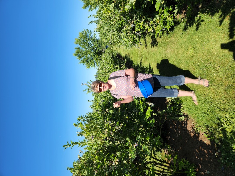 Laura blueberry picking.