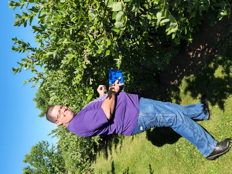 Ben blueberry picking.