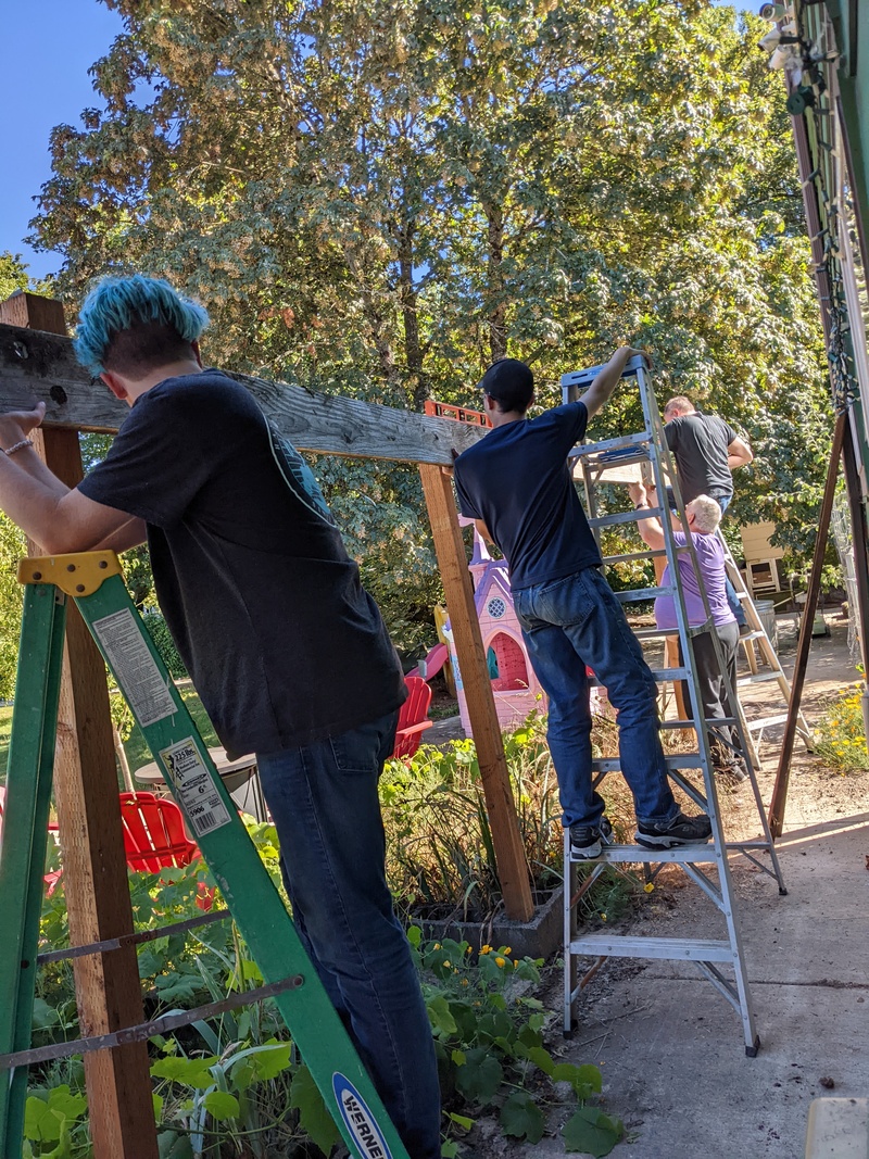 Building the grape arbor.