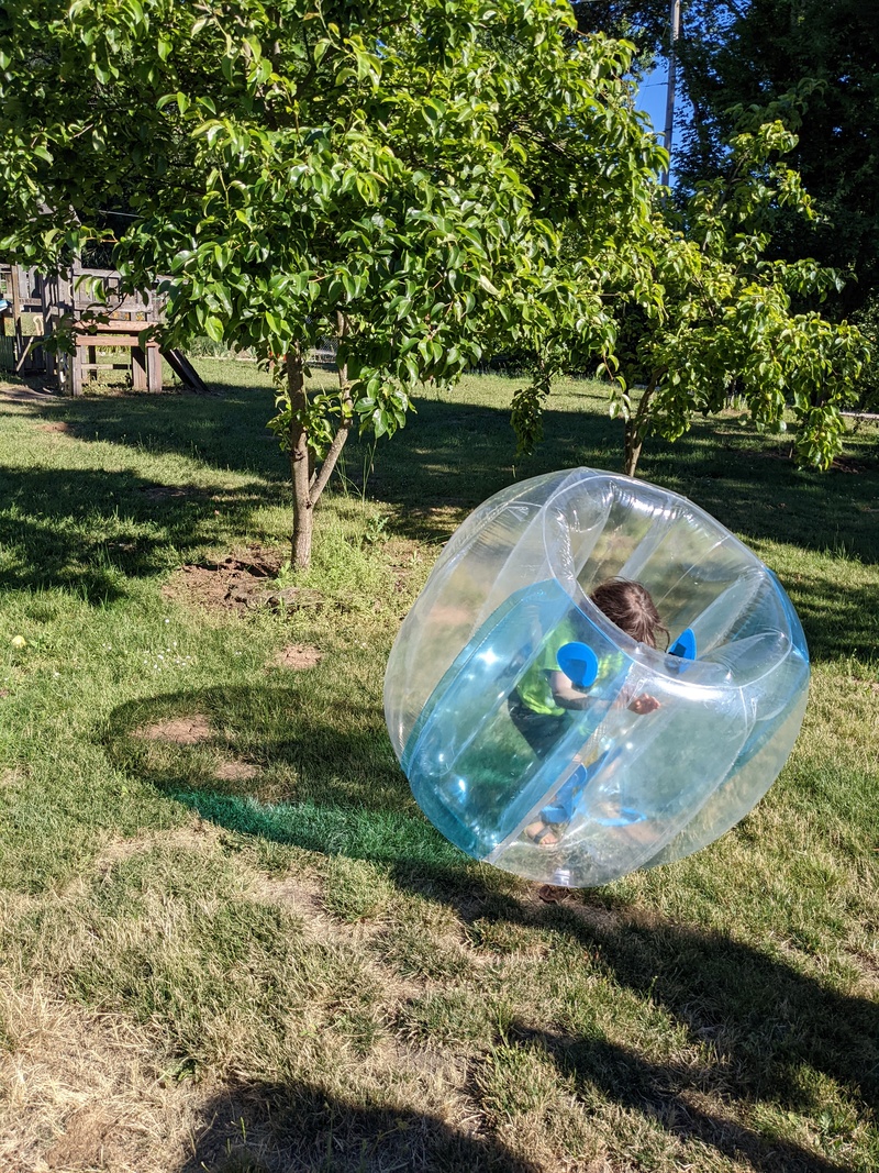 Rhyder climbing into the big ball and rolling around.