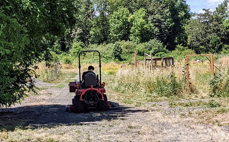 Timmy is off to mow.