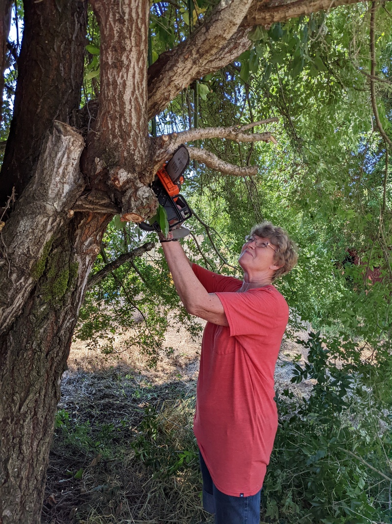 Laura using the chainsaw.