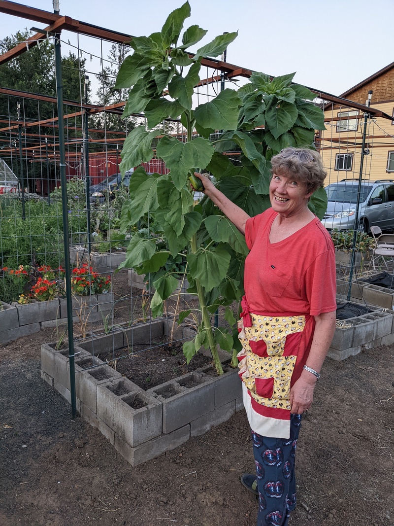 Laura by the sunflowers