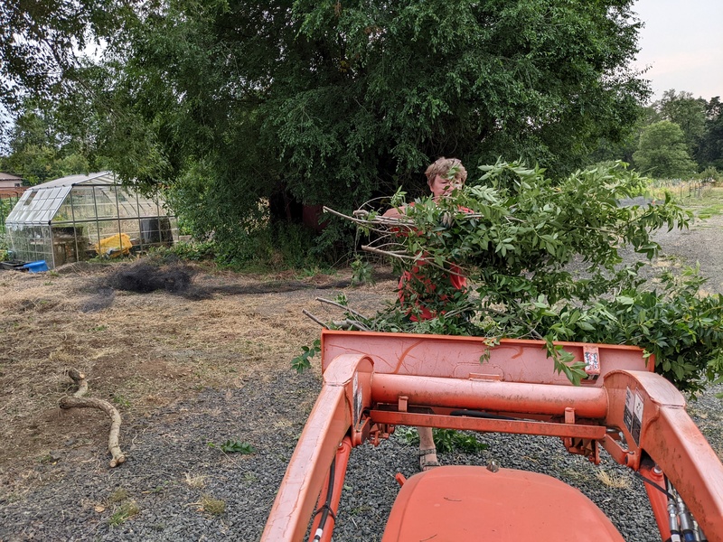 Laura loaded them into the tractor.